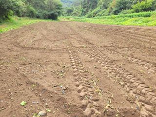 노구리님의 자유주제 · 자유게시판 작성글 사진