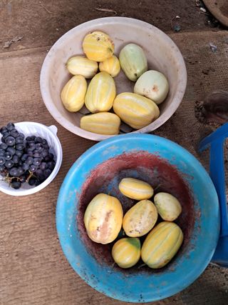 최한기님의 한가위, 덕담을 나눠주세요 · 참여글 작성글 사진