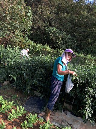 최한기님의 한가위, 덕담을 나눠주세요 · 참여글 작성글 사진