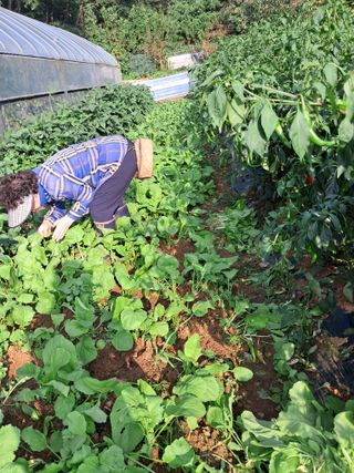 최한기님의 한가위, 덕담을 나눠주세요 · 참여글 작성글 사진