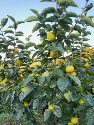 알 수 없음님의 작성글 사진