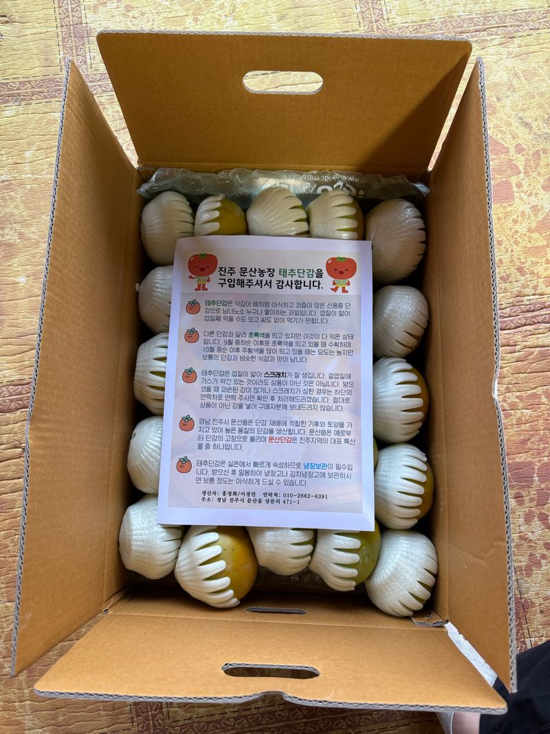 알 수 없음님의 장터 판매 상품 [태추단감 5kg(중-대과)] 첨부 사진