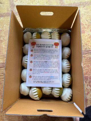 알 수 없음님의 작성글 사진