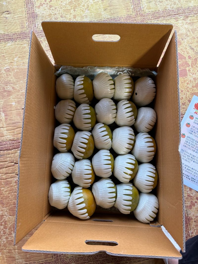 알 수 없음님의 장터 판매 상품 [태추단감 5kg(중-대과)] 첨부 사진