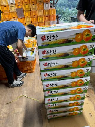 알 수 없음님의 작성글 사진