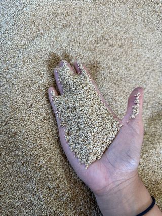 김성미님의 자유주제 · 자유게시판 작성글 사진