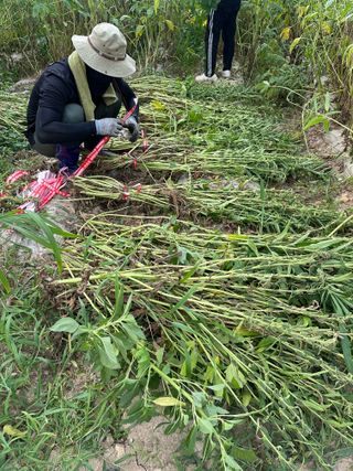김성미님의 자유주제 · 자유게시판 작성글 사진