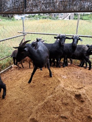 김석현님의 자유주제 · 자유게시판 작성글 사진