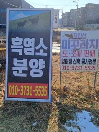 김석현님의 자유주제 · 자유게시판 작성글 사진