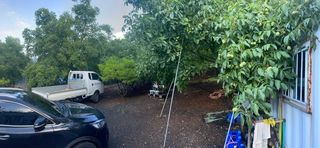 강학도님의 팜모닝 · 출석 작성글 사진