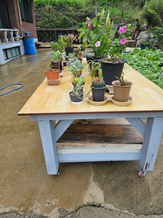 충남공주이도은님의 자유주제 · 자유게시판 작성글 사진