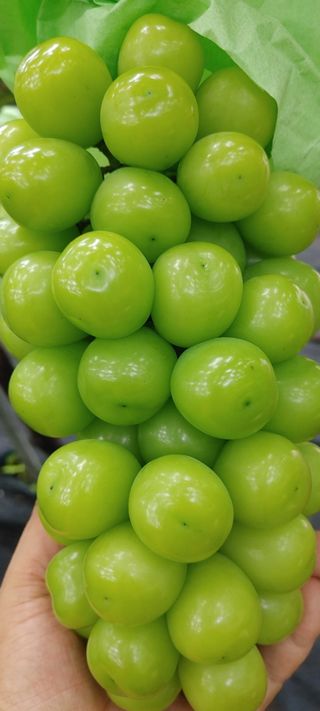 전동표님의 자유주제 · 자유게시판 작성글 사진