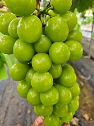 전동표님의 자유주제 · 자유게시판 작성글 사진