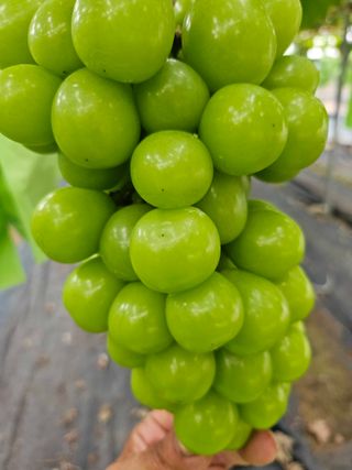 전동표님의 자유주제 · 자유게시판 작성글 사진