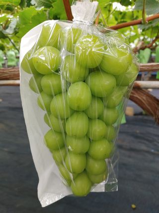 전동표님의 자유주제 · 자유게시판 작성글 사진