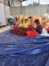 팜모닝 고추·영농일지 게시글 이미지