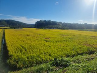 정영기대산축산농부♡님의 자유주제 · 자유게시판 작성글 사진