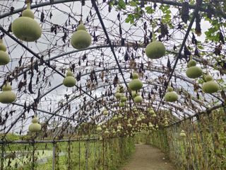 이현상님의 자유주제 · 자유게시판 작성글 사진