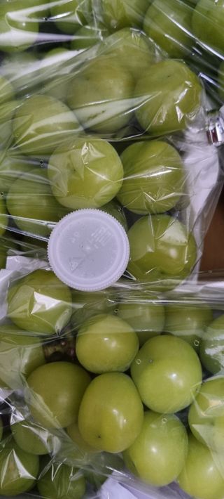 땡초고추님의 작성글 사진