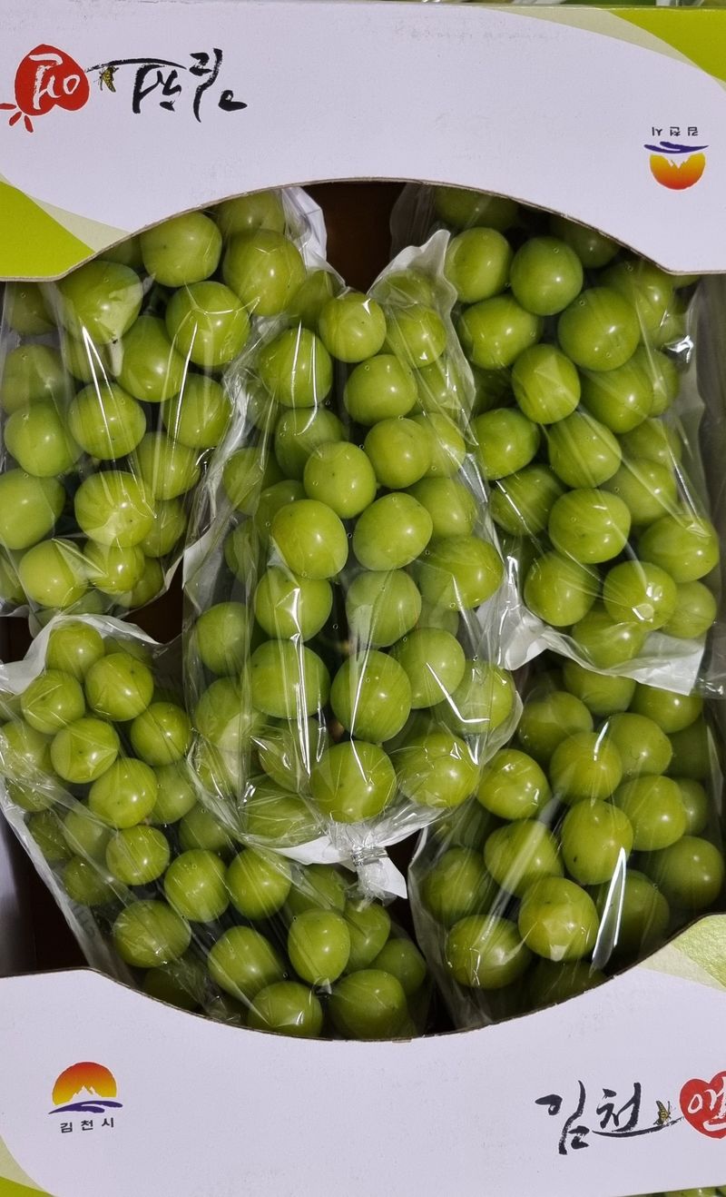 땡초고추님의 장터 판매 상품 [샤인머스켓 4kg(4-5 수)] 첨부 사진