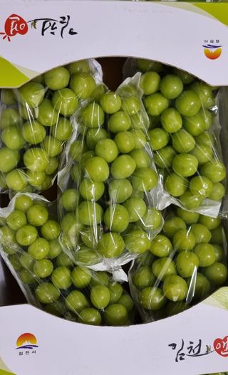 땡초고추님의 작성글 사진