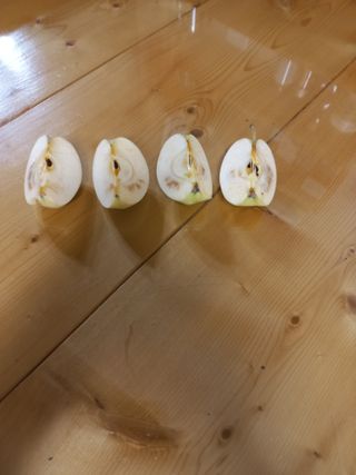 심무재 님의 사과 · 병해충상담 작성글 사진