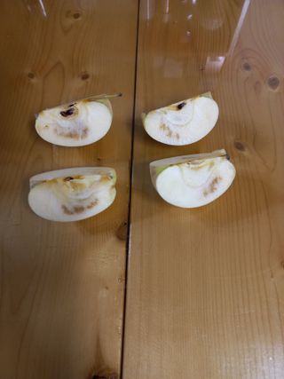 심무재 님의 사과 · 병해충상담 작성글 사진