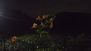 영월산지기148님의 한가위, 덕담을 나눠주세요 · 참여글 작성글 사진