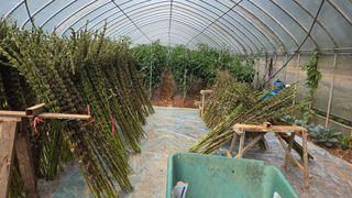 영월산지기148님의 한가위, 덕담을 나눠주세요 · 참여글 작성글 사진