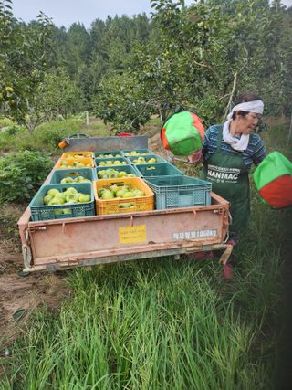 단감님의 작성글 사진