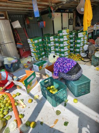 단감님의 작성글 사진