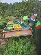 팜모닝 · 게시글 이미지