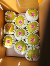 팜모닝 · 게시글 이미지