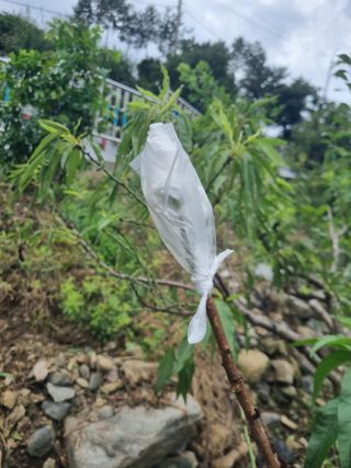 김용대님의 자유주제 · 자유게시판 작성글 사진