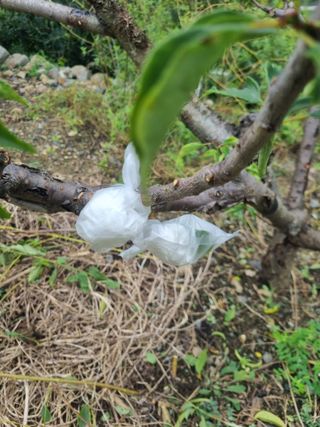 김용대님의 자유주제 · 자유게시판 작성글 사진