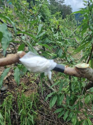 김용대님의 자유주제 · 자유게시판 작성글 사진