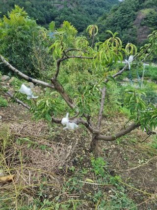 김용대님의 자유주제 · 자유게시판 작성글 사진