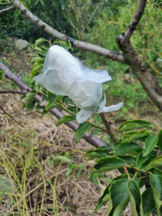 김용대님의 자유주제 · 자유게시판 작성글 사진