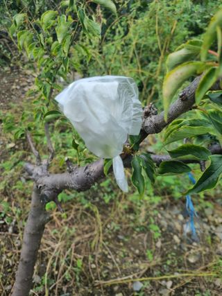 김용대님의 자유주제 · 자유게시판 작성글 사진