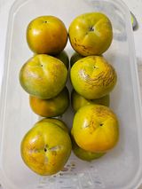 팜모닝 한가위, 덕담을 나눠주세요·참여글 게시글 이미지