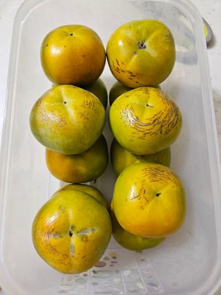 참깨22068님의 한가위, 덕담을 나눠주세요 · 참여글 작성글 사진