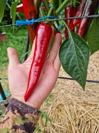 이종열님의 자유주제 · 자유게시판 작성글 사진