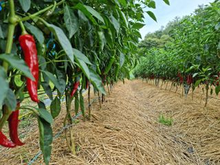 이종열님의 자유주제 · 자유게시판 작성글 사진