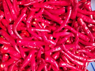 블루베리20476님의 한가위, 덕담을 나눠주세요 · 참여글 작성글 사진