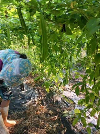 들국화님의 자유주제 · 자유게시판 작성글 사진