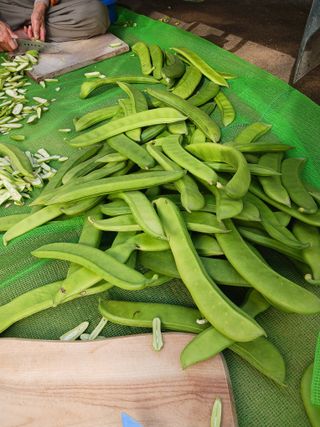 들국화님의 자유주제 · 자유게시판 작성글 사진