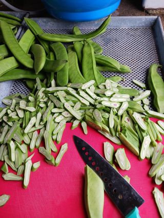 들국화님의 자유주제 · 자유게시판 작성글 사진