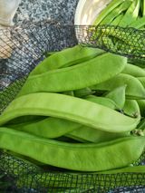 팜모닝 자유주제·사진전 게시글 이미지