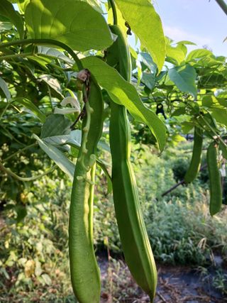 들국화님의 자유주제 · 사진전 작성글 사진