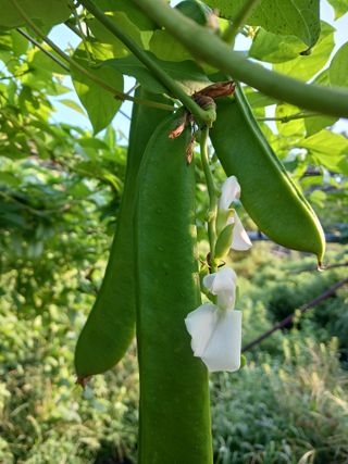 들국화님의 자유주제 · 사진전 작성글 사진